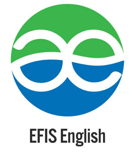 EFIS English